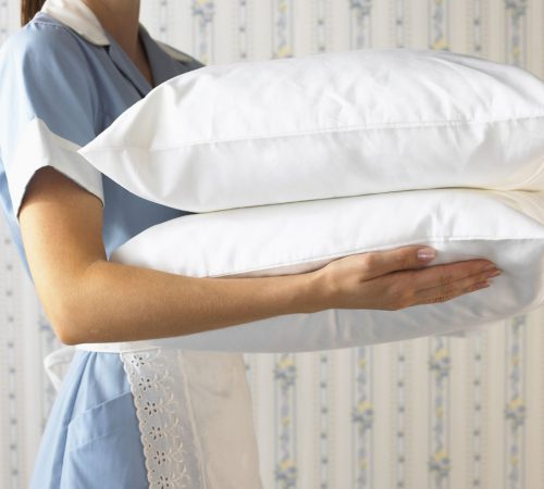 Daily Housekeeping