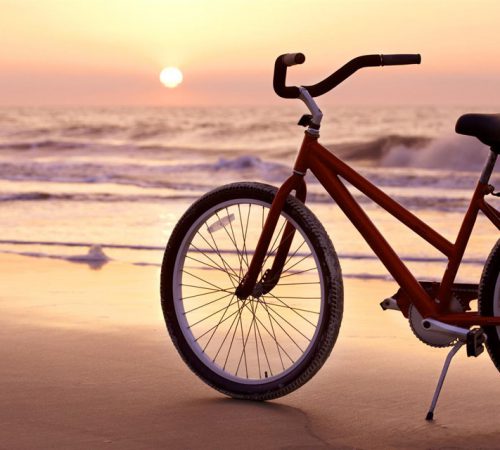 Biking Rentals
